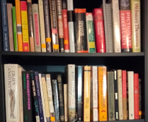 bookshelf pic